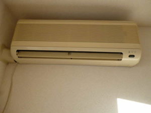 ヴィータＣ 202号-10