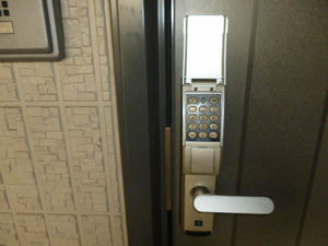 ヴィータＣ 202号-12