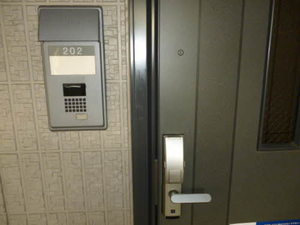 ヴィータＣ 202号-13