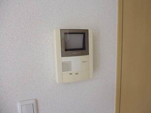 ヴィータＤ 201号-11