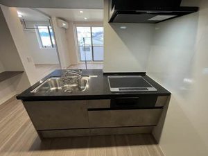 ザ　ファースト　レジデンス 301号-5