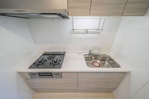 ファミール・セト 203号-4