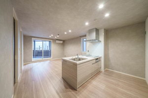 レィディエンス本町 201号-4