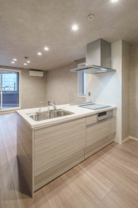 レィディエンス本町 201号-5