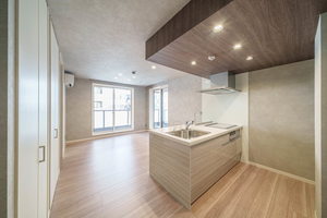 レィディエンス本町 302号-4