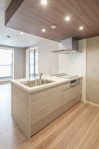 レィディエンス本町 302号-5