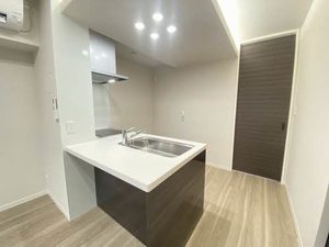 シャーメゾン田向 203号-5