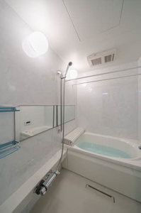 リッシュあけぼの 305号-8