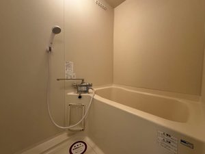 ディアス・ルフラン B102号-5