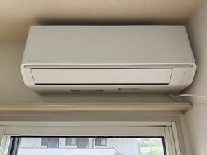 ディアス・ルフラン B201号-12