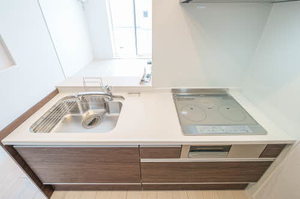 ＬＵＬＵＢＩＳⅢ美田園 202号-5