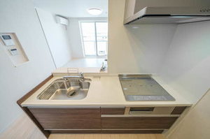 ＬＵＬＵＢＩＳⅢ美田園 302号-5