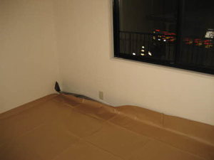 ピュアＭ・Ｋ 202号-4