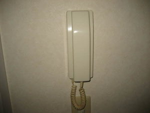 ピュアＭ・Ｋ 202号-7