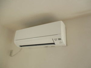 ローランＳＵＮ 201号-10