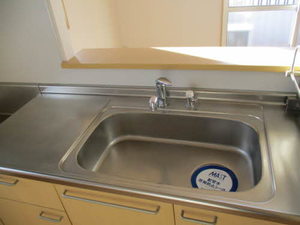 ローランＳＵＮ 201号-12