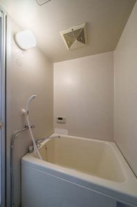 アイボリーハウスⅡ 101号-7