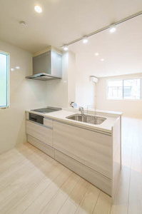 HALELEAⅡ 201号-6