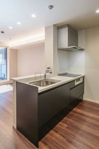 富岳五橋 206号-6