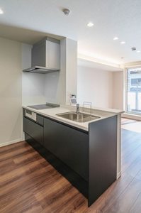 富岳五橋 207号-6