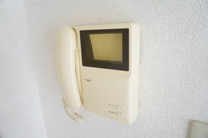 ヴィオラSIN B 106号-10