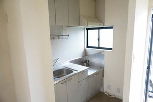 ヴィオラSIN B 106号-11