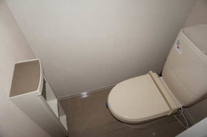 ヴィオラSIN B 106号-13