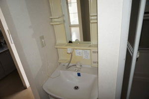 ヴィオラSIN B 106号-14