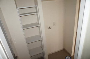 ヴィオラSIN B 106号-15