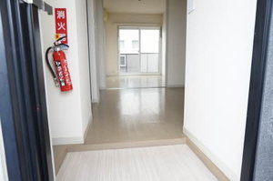 ヴィオラSIN B 205号-2