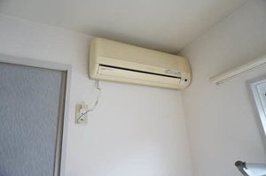 ヴィオラSIN B 205号-9