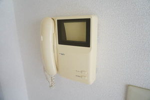 ヴィオラSIN B 205号-10