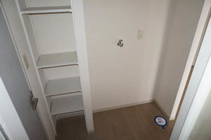 ヴィオラSIN B 205号-15