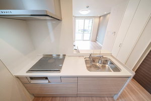 ＳＰｉＮＥＬ 101号-9