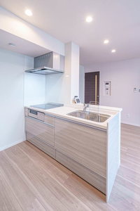 ＳＰｉＮＥＬ 203号-8