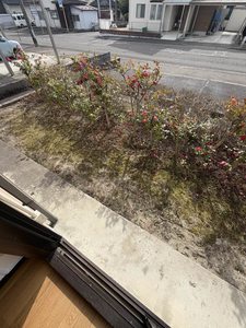 イーストコーヨーＫＥＮ 103号-13