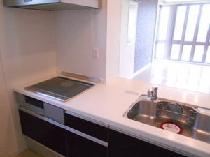 メゾンマスト川尻 301号-9