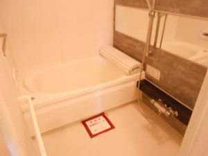 メゾンマスト川尻 301号-10