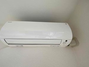 ＳＡＫＵＲＡ　Ⅴ 202号-4