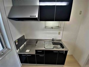 ＣＯＳＭＯＳ　Ⅳ 202号-5