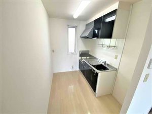 ＣＯＳＭＯＳ　Ⅳ 202号-6