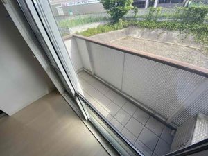 ＣＯＳＭＯＳ　Ⅳ 202号-11