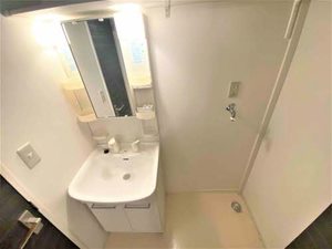 ＣＯＳＭＯＳ　Ⅳ 202号-12