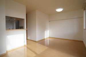 光ハイツ 101号-3