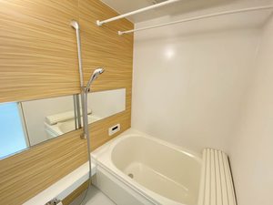 Ｓｏｌａｎａ 102号-6