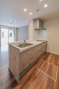 Ｐｒｏｍｅｎａｄｅ上杉 102号-6