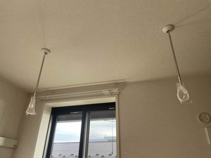 アンテロープ三河 302号-10