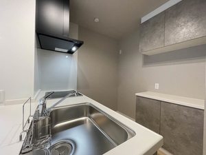 ラディア向陽 101号-3