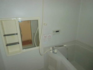 ディアス安積Ｂ 203号-10