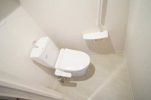 シャーメゾン成田町 301号-10